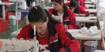 深圳援疆企業(yè)助力塔縣 服裝產(chǎn)品遠(yuǎn)銷歐洲